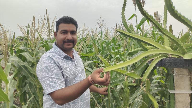 व्यापार: