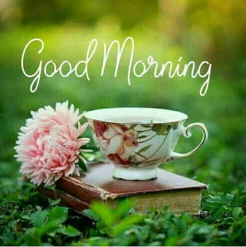 शुभ प्रभात :