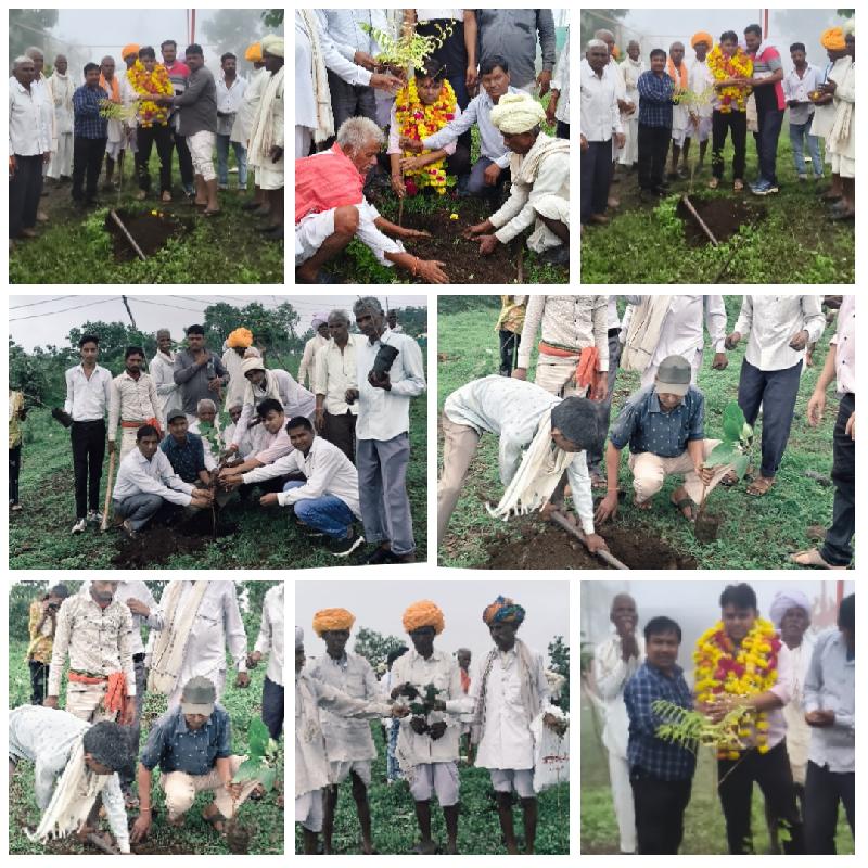 गिरवर माता मंदिर की पहाड़ी पर हरियाली का महाअभियान:
