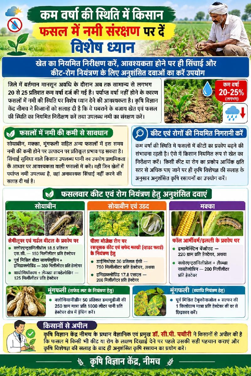 शहर: