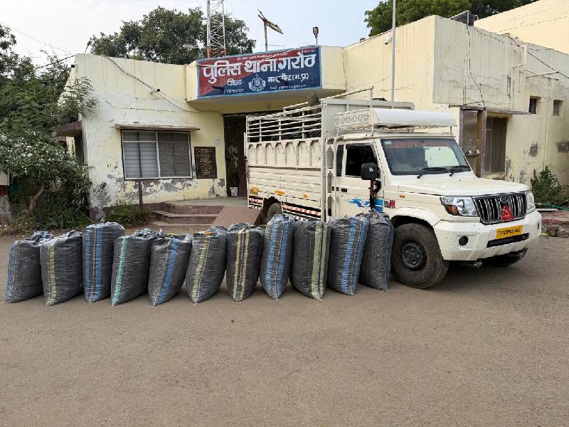 शहर: